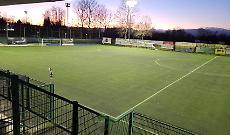 Calcio in crescita, arriva la risposta