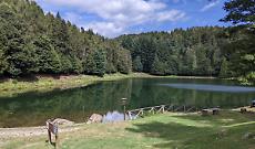 Nel cuore del Canavese con gli asini: la camminata &ldquo;Asinaria&rdquo; tra boschi, laghi e sapori piemontesi