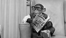 Oggi &egrave; la Giornata Mondiale della Propriet&agrave; Intellettuale, proteggere le idee per un mondo sostenibile