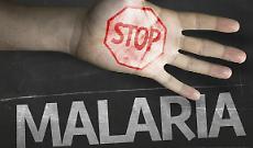Giornata Mondiale della Malaria, in Italia 800 casi l'anno, tutti d'importazione