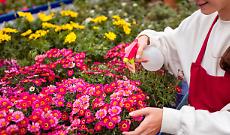 Carignano si veste di primavera: Fiori & Vini accende il weekend