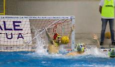 Torino '81 in trasferta contro l'Arenzano, poi ospiter&agrave; la capolista Chiavari, coach Aversa: &laquo;Partite utili in vista dei playoff&raquo;