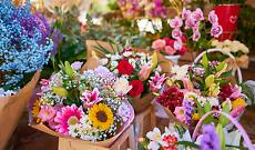 A Cambiano torna la Festa di Primavera con la celebrazione dell&rsquo;asparago tra sapori, musica e tradizione