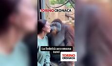 e chi l'ha detto che solo gli esseri umani sono gelosi?