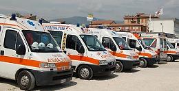 Cane eroe: L'incredibile vicenda di via Bianchi a Torino