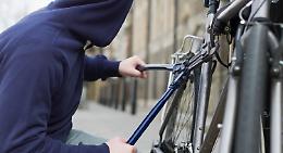 Ladri di biciclette a Rivarolo Canavese, l'appello sui social