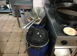 Scarafaggi in cucina: chiuso un ristorante e multati i titolari
