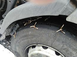 Agguato No Tav in autostrada, chiodi a quattro punte sull'asfalto
