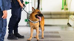 Droga nei bagni della stazione di Bra: intensificati i controlli della Polizia di Stato