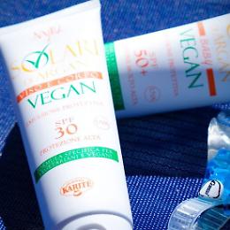 L&rsquo;Erba Cipollina - Prendere il sole e disintossicarsi con le tisane e i prodotti naturali