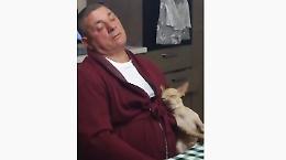 Il cagnolino riposa come il padrone: una scena tenerissima
