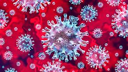 Covid in Piemonte: per gli over 40 non vaccinati rischio 7 volte maggiore di mortalità