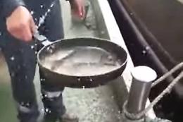 Niente canna per pescare? Ecco il trucchetto del marinaio