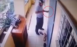 Topo d'appartamento in azione, viaggia col kit