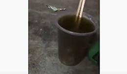 Brutta sorpresa nel succo di frutta