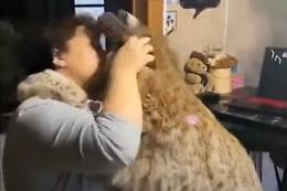 Cane o gatto? Lei ha scelto di crescere una lince