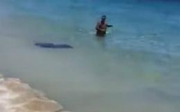 Sorpresa a riva: spunta una manta tra i bagnanti