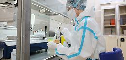 Scoperta una relazione genetica tra la malaria e il Covid