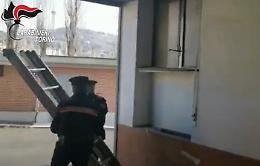 Provano a entrare in casa dalla finestra con una scala: fermati dai carabinieri
