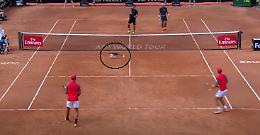 Epic moments: quando gli animali fanno...sport