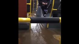 Ma è un autobus o una gondola? L'acqua è dappertutto