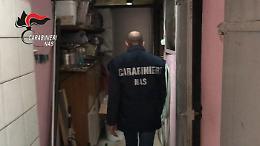 Ivrea, NAS sequestrano una tonnellata di carne mal conservata: chiusa macelleria