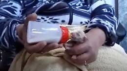 Il cucciolo è piccolo come il palmo di una mano: che tenerezza