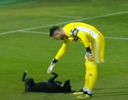 Insolita invasione di campo: sul prato verde il cagnolone si diverte!!