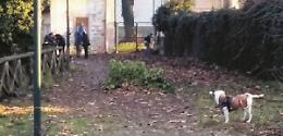 Ciclabili, restyling per l’area a fianco dell’Amedeo di Savoia