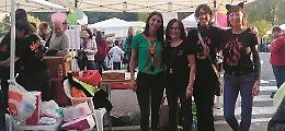 Il gattile vuole crescere, «ma ci serve un aiuto». E si affida alle “balie”