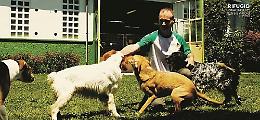 Il rifugio Ramondetti: «in 34 anni salvati oltre settemila cani»