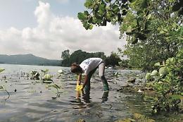 Lago di Viverone contaminato: batteri in tre zone del bacino