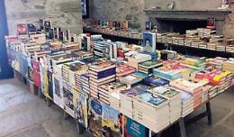 Da Fenestrelle a Prali: i libri in montagna per le vacanze estive
