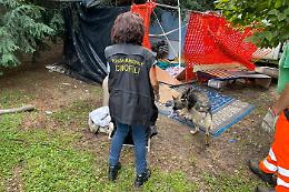 Intervento straordinario al Parco Sempione: rimossi accampamenti improvvisati [FOTO]