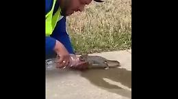 Gli dà dell'acqua da bere e lo scoiattolo non lo molla più