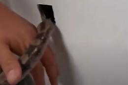 C'è una colonia di topi nel muro: li stana con un serpente