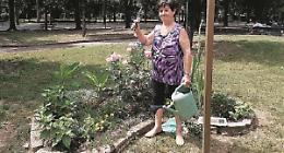«La mia aiuola a forma di cuore contro il degrado del giardino»