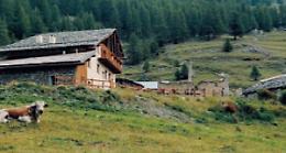 In vendita la borgata Troncea: un sogno in mezzo al parco