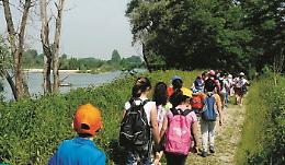 Il Bosco del Gerbasso tra spiagge e animali oasi per chi è in città