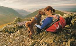 Tour in montagna con il proprio cane. Ma occhio a cibo, quota e parassiti