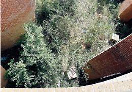 Il degrado di Torino Romana tra rifiuti e clochard ubriachi