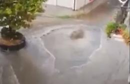Islanda? No, questo geyser è tutto italiano
