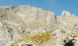 Caccia al cobalto e all’argento, ma gli ambientalisti dicono no
