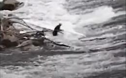 Aiuto, che guaio: mi si è incastrata la canoa nel fiume