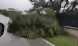 Tempesta di vento e acqua, le conseguenze sono devastanti