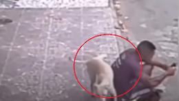 In strada, sul marciapiedi o al supermarket: incidenti e cadute ai limiti dell'esilarante