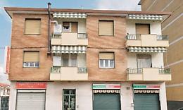 Gli insetti nel condominio fanno scoprire un cadavere
