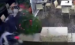 Attenzione, furto di albero di Natale in diretta: preso al volo