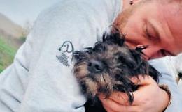 Arriva il gelo, ora servono le coperte: «Un aiuto agli animali abbandonati»