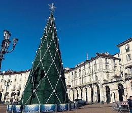 Lo zerbino che fa il pino